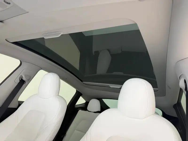 Model Y 2021 Standard Range Rear-Wheel Drive — миниатюра 19
