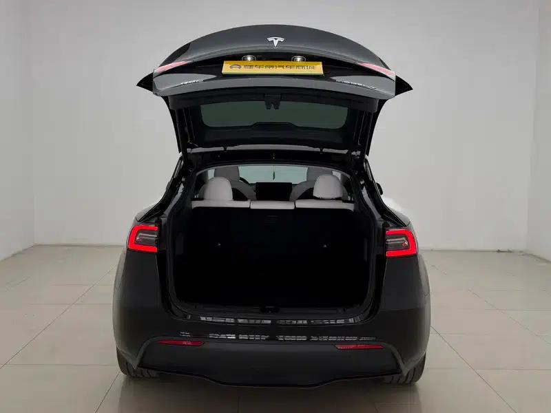 Model Y 2021 Standard Range Rear-Wheel Drive — миниатюра 20