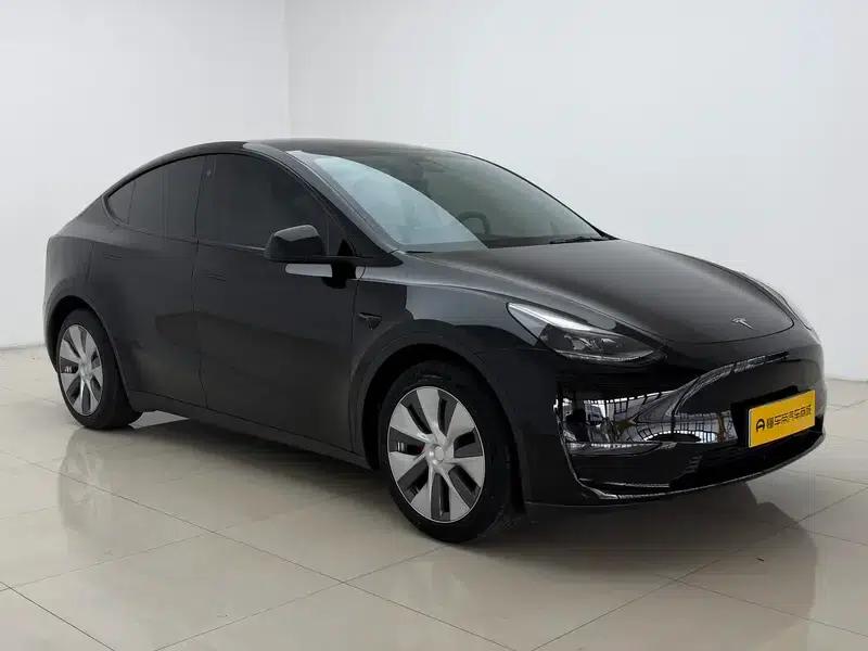 Model Y 2021 Standard Range Rear-Wheel Drive — миниатюра 3