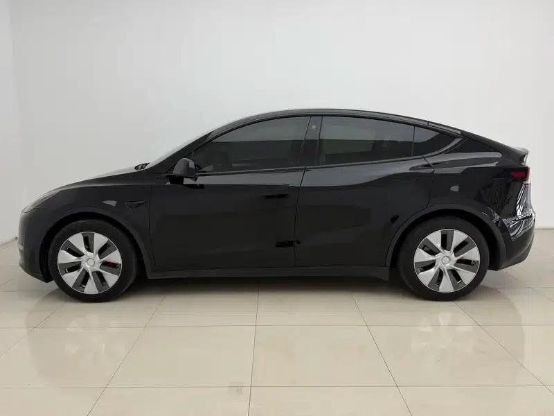 Model Y 2021 Standard Range Rear-Wheel Drive — миниатюра 4