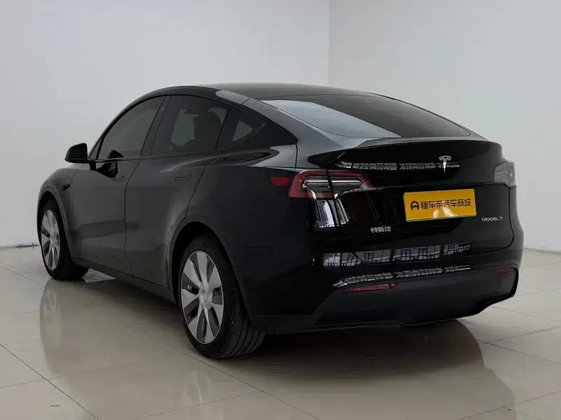 Model Y 2021 Standard Range Rear-Wheel Drive — миниатюра 5