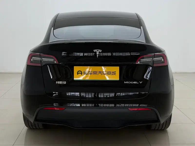 Model Y 2021 Standard Range Rear-Wheel Drive — миниатюра 6