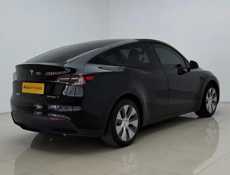 Model Y 2021 Standard Range Rear-Wheel Drive — миниатюра 7