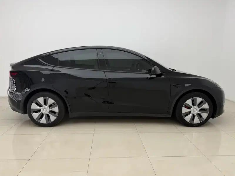 Model Y 2021 Standard Range Rear-Wheel Drive — миниатюра 8