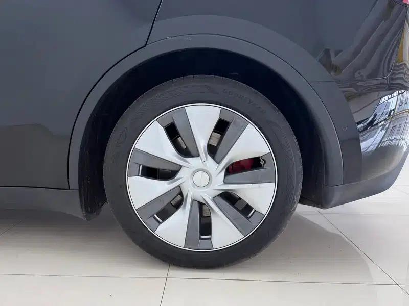 Model Y 2021 Standard Range Rear-Wheel Drive — миниатюра 9