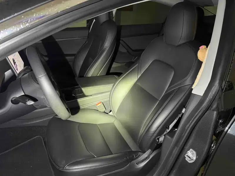 Model 3 2020 Facelift Long Range Rear-Wheel Drive — миниатюра 12
