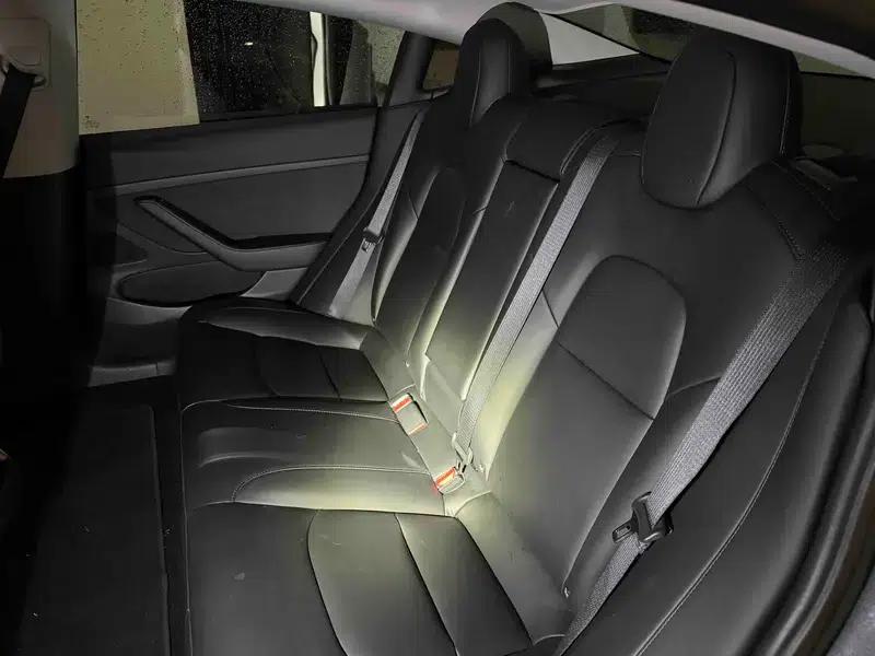 Model 3 2020 Facelift Long Range Rear-Wheel Drive — миниатюра 13