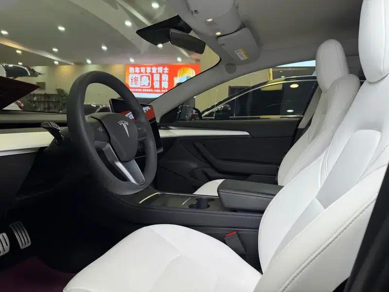 Model 3 2021 Performance All-Wheel Drive — миниатюра 13