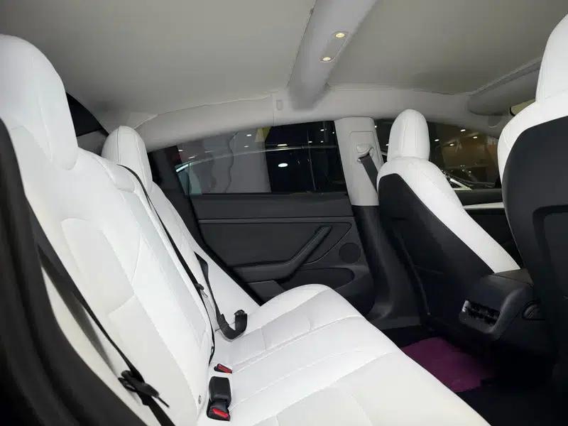 Model 3 2021 Performance All-Wheel Drive — миниатюра 16
