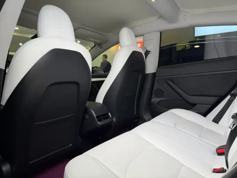 Model 3 2021 Performance All-Wheel Drive — миниатюра 18
