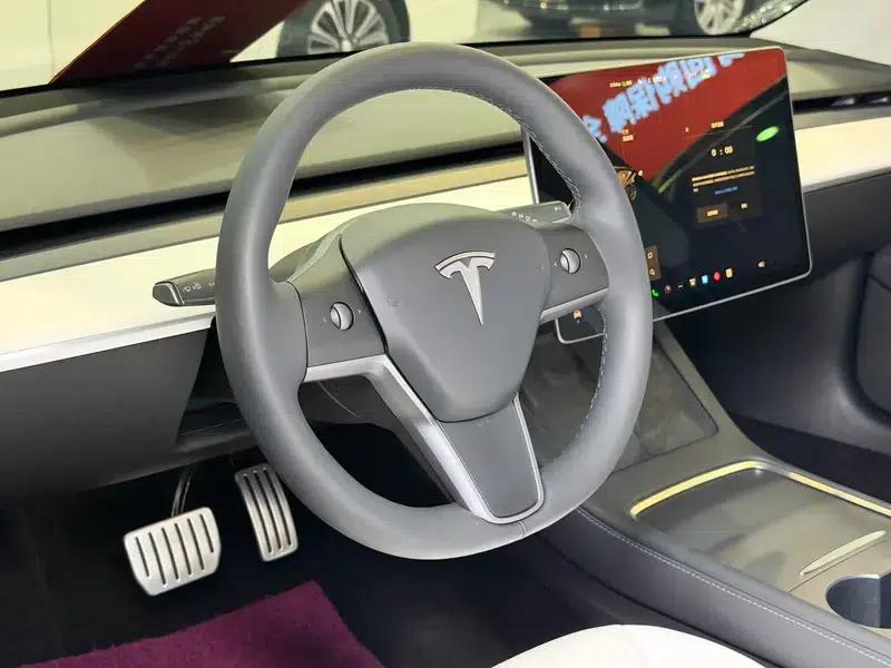 Model 3 2021 Performance All-Wheel Drive — миниатюра 10