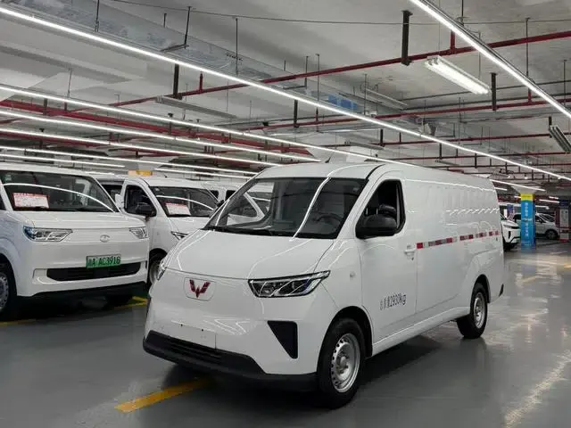 Wuling Yangguang 2024 Model 300km Comfort Edition with Closed Windows 60kW