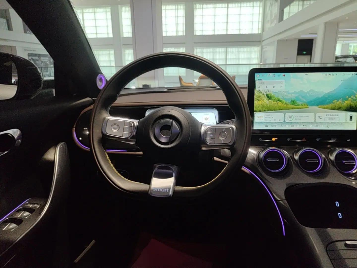 smart #3 2023 Pulse Four-Wheel Drive Edition — миниатюра 13