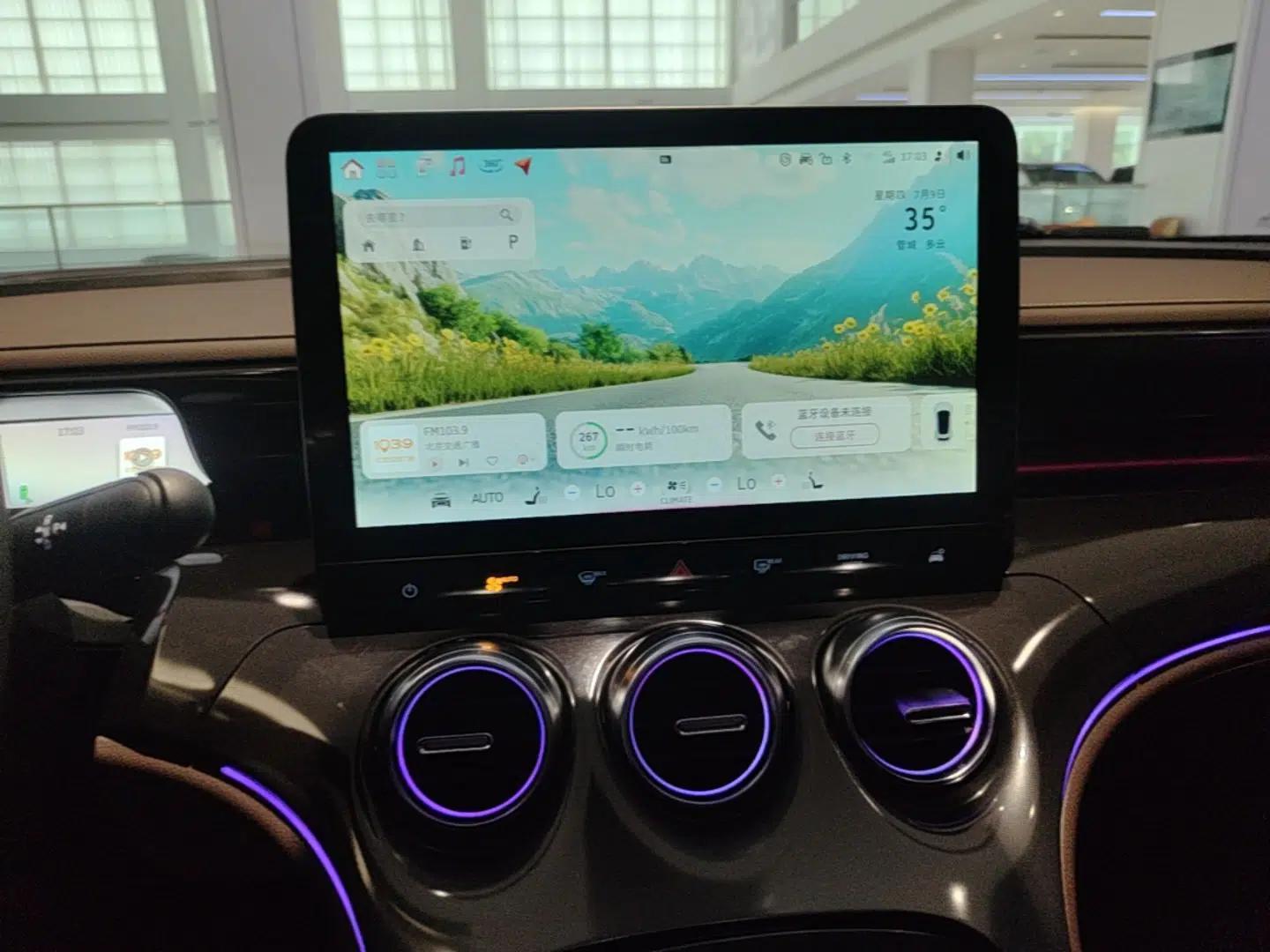 smart #3 2023 Pulse Four-Wheel Drive Edition — миниатюра 15