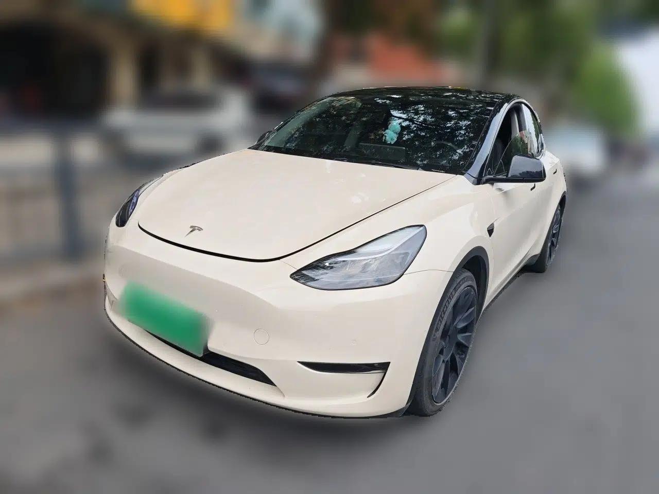 Tesla Model Y 2021 Standard Range Rear-Wheel Drive Version — миниатюра 1