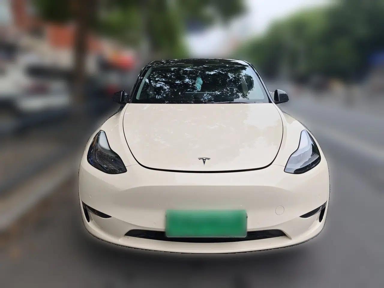 Tesla Model Y 2021 Standard Range Rear-Wheel Drive Version — миниатюра 2