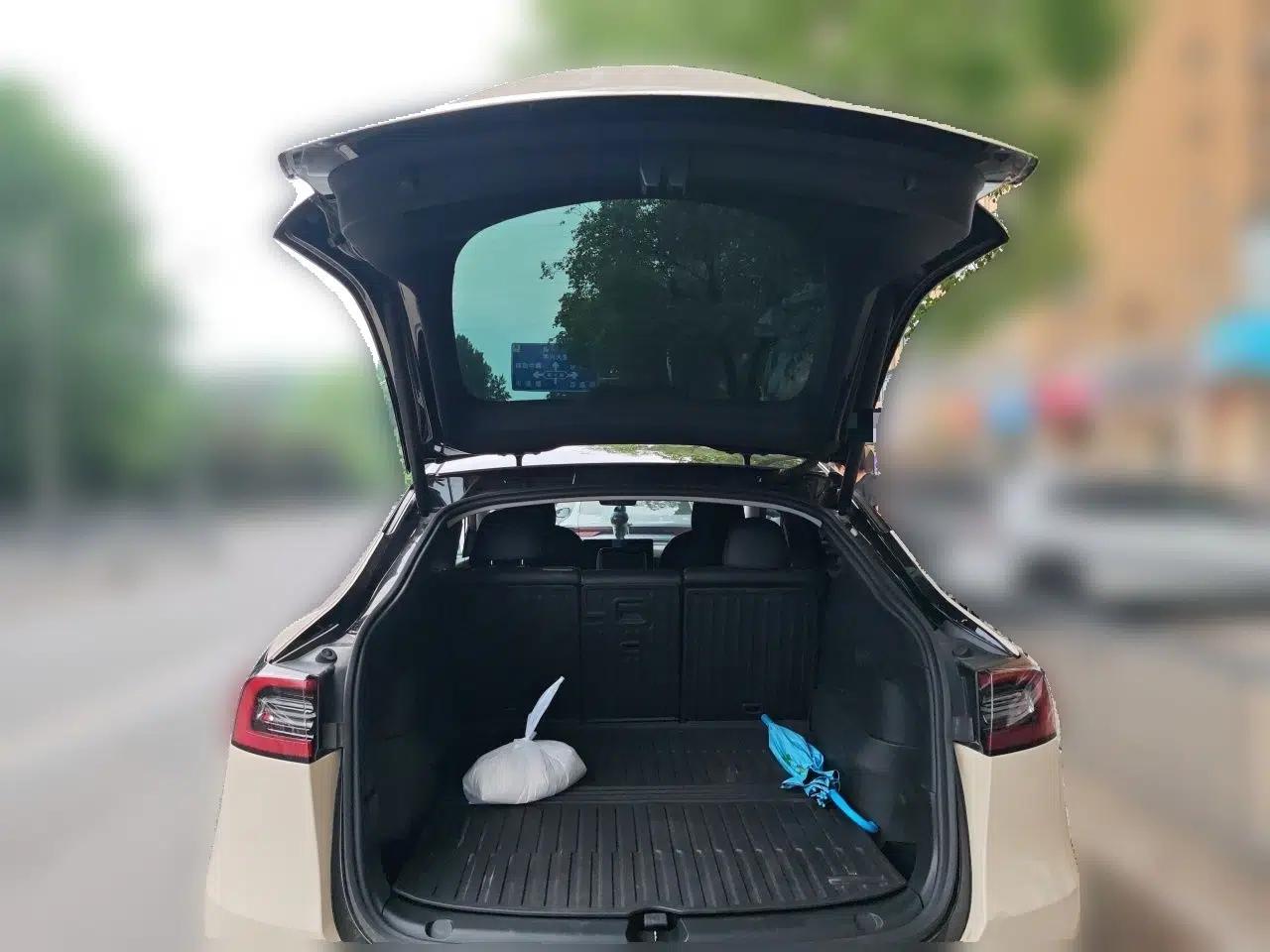 Tesla Model Y 2021 Standard Range Rear-Wheel Drive Version — миниатюра 19