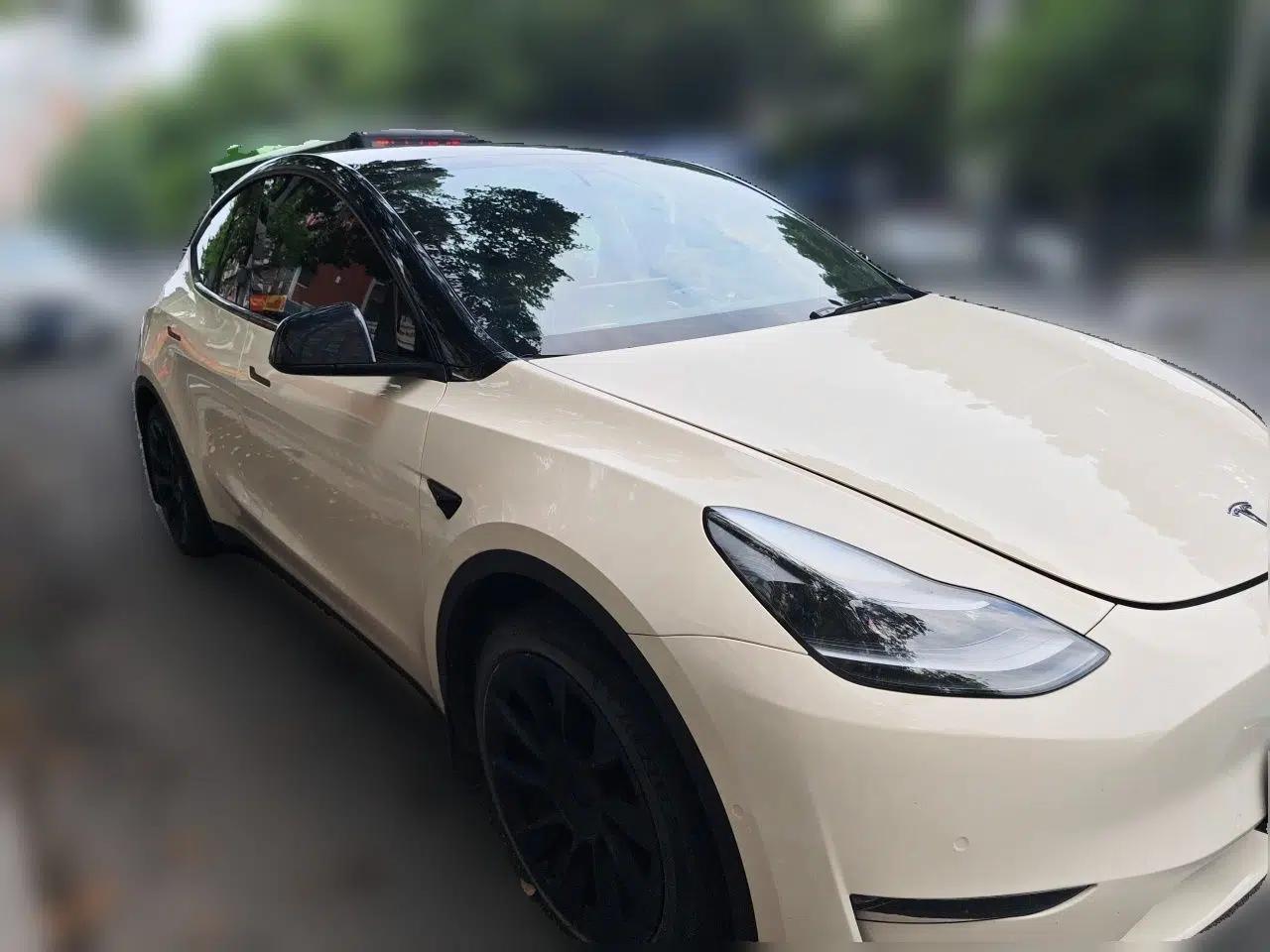 Tesla Model Y 2021 Standard Range Rear-Wheel Drive Version — миниатюра 3