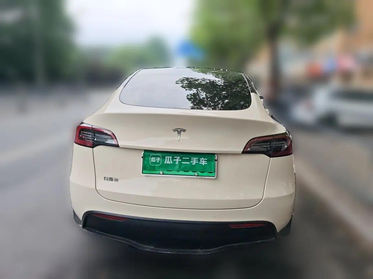Tesla Model Y 2021 Standard Range Rear-Wheel Drive Version — миниатюра 5