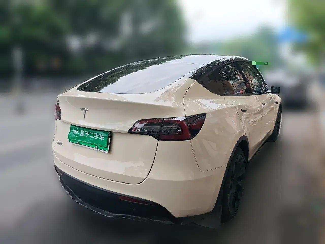 Tesla Model Y 2021 Standard Range Rear-Wheel Drive Version — миниатюра 6