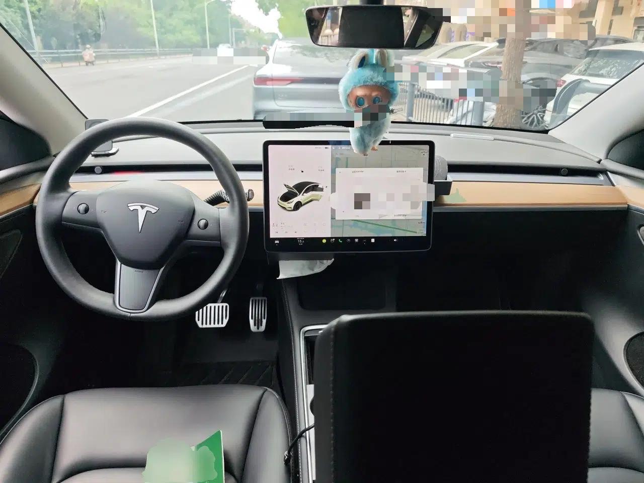 Tesla Model Y 2021 Standard Range Rear-Wheel Drive Version — миниатюра 9