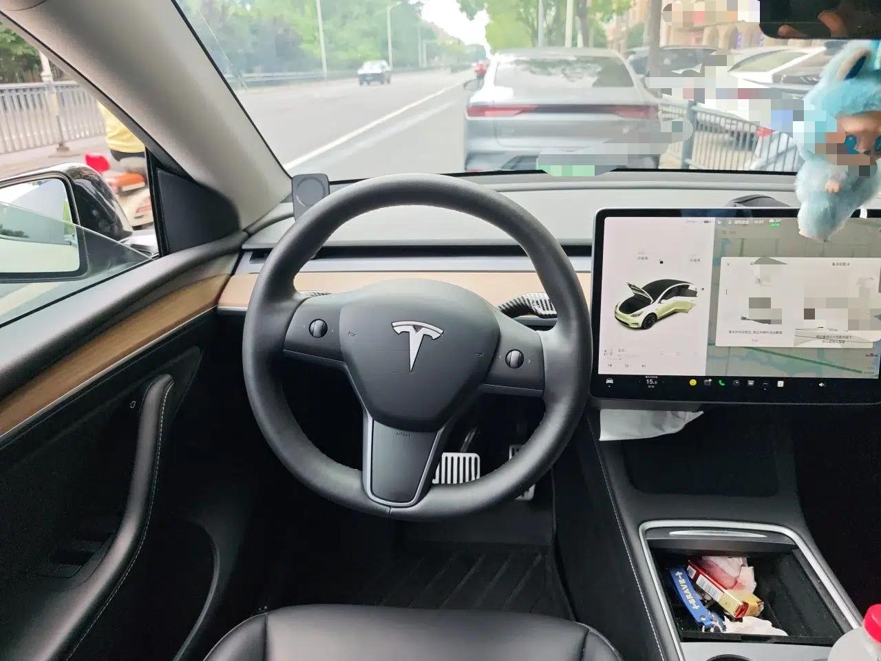 Tesla Model Y 2021 Standard Range Rear-Wheel Drive Version — миниатюра 10