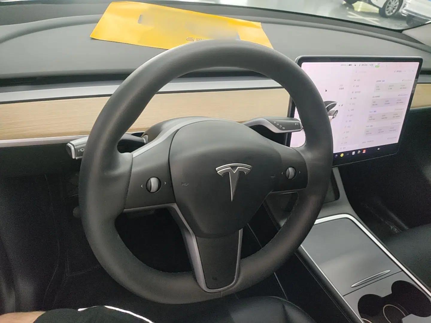 Tesla Model Y 2021 Standard Range Rear-Wheel Drive Version — миниатюра 18