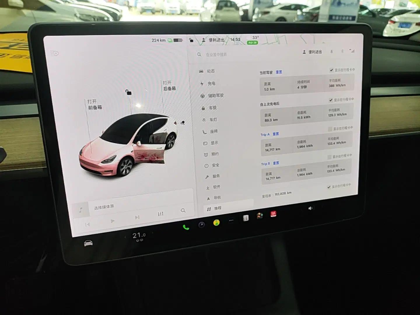 Tesla Model Y 2021 Standard Range Rear-Wheel Drive Version — миниатюра 19