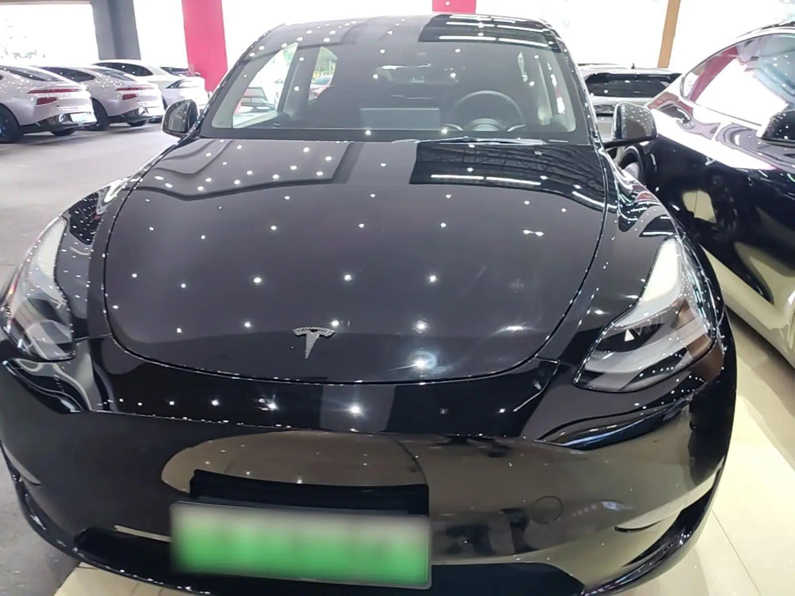 Tesla Model Y 2021 Standard Range Rear-Wheel Drive Version — миниатюра 2