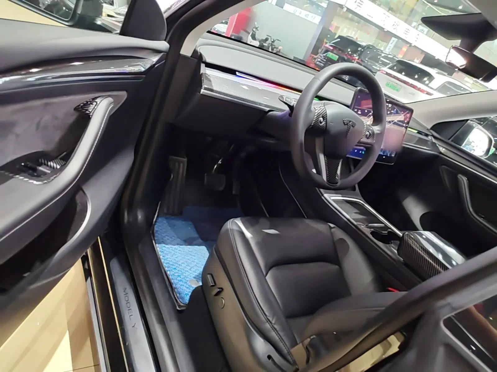 Tesla Model Y 2021 Standard Range Rear-Wheel Drive Version — миниатюра 18