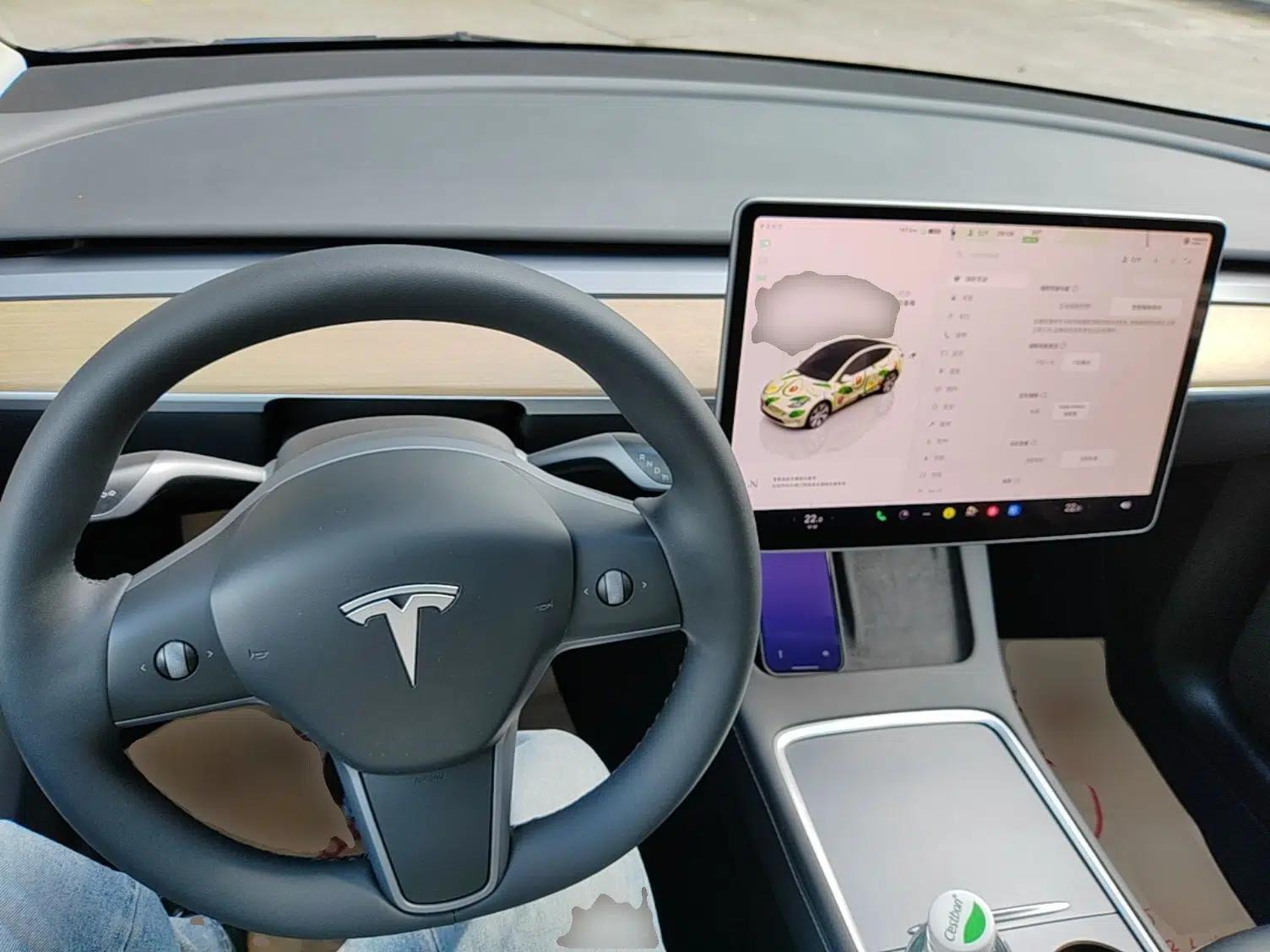Tesla Model Y 2022 Revised Version Rear-Wheel Drive — миниатюра 17
