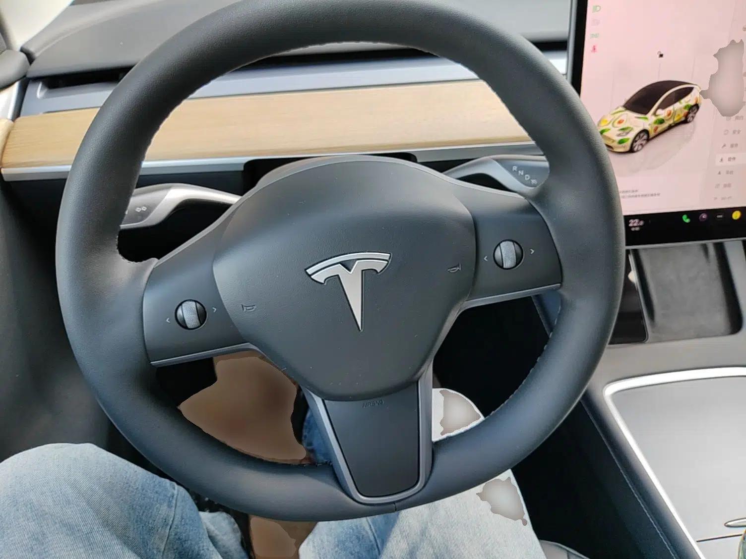 Tesla Model Y 2022 Revised Version Rear-Wheel Drive — миниатюра 18
