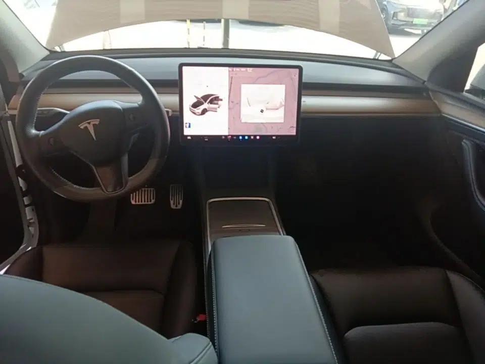 Tesla Model Y 2021 Standard Range Rear-Wheel Drive Version — миниатюра 12