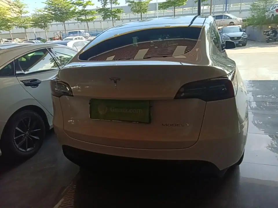 Tesla Model Y 2021 Standard Range Rear-Wheel Drive Version — миниатюра 5