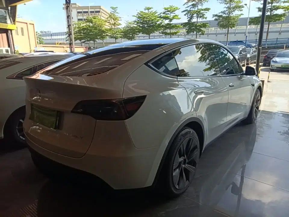 Tesla Model Y 2021 Standard Range Rear-Wheel Drive Version — миниатюра 6
