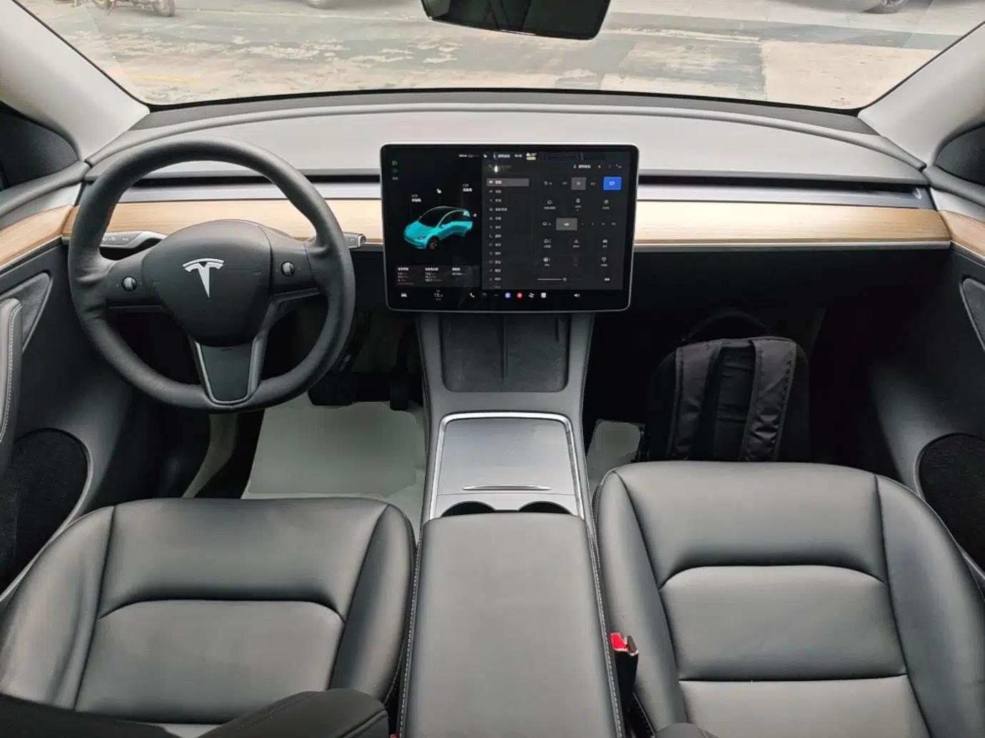 Tesla Model Y 2021 Standard Range Rear-Wheel Drive Version — миниатюра 12