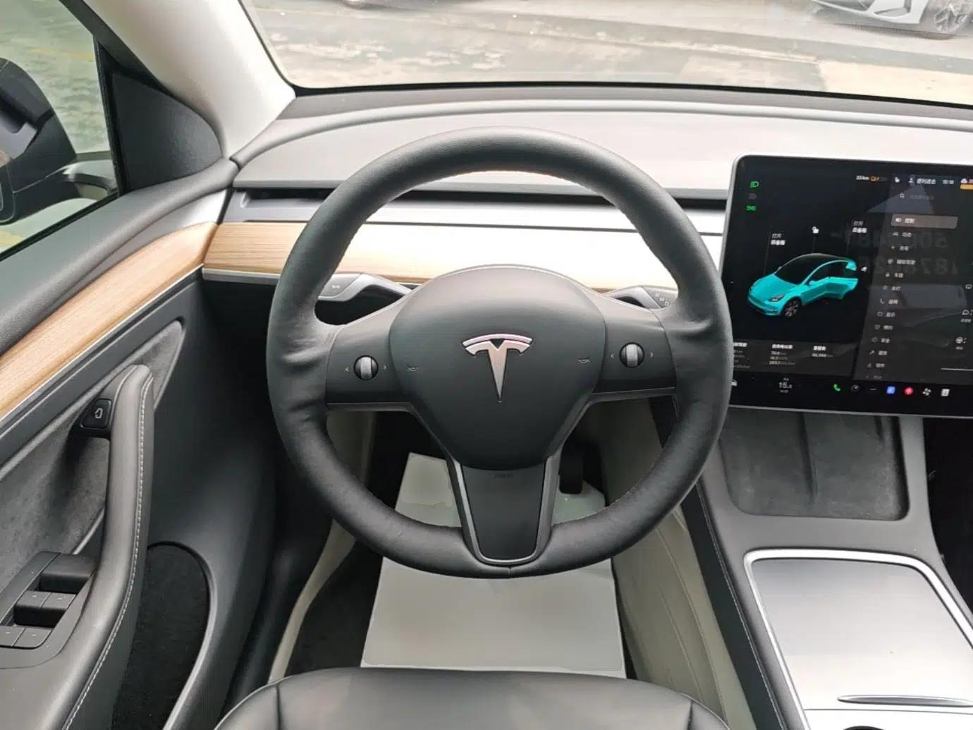 Tesla Model Y 2021 Standard Range Rear-Wheel Drive Version — миниатюра 13