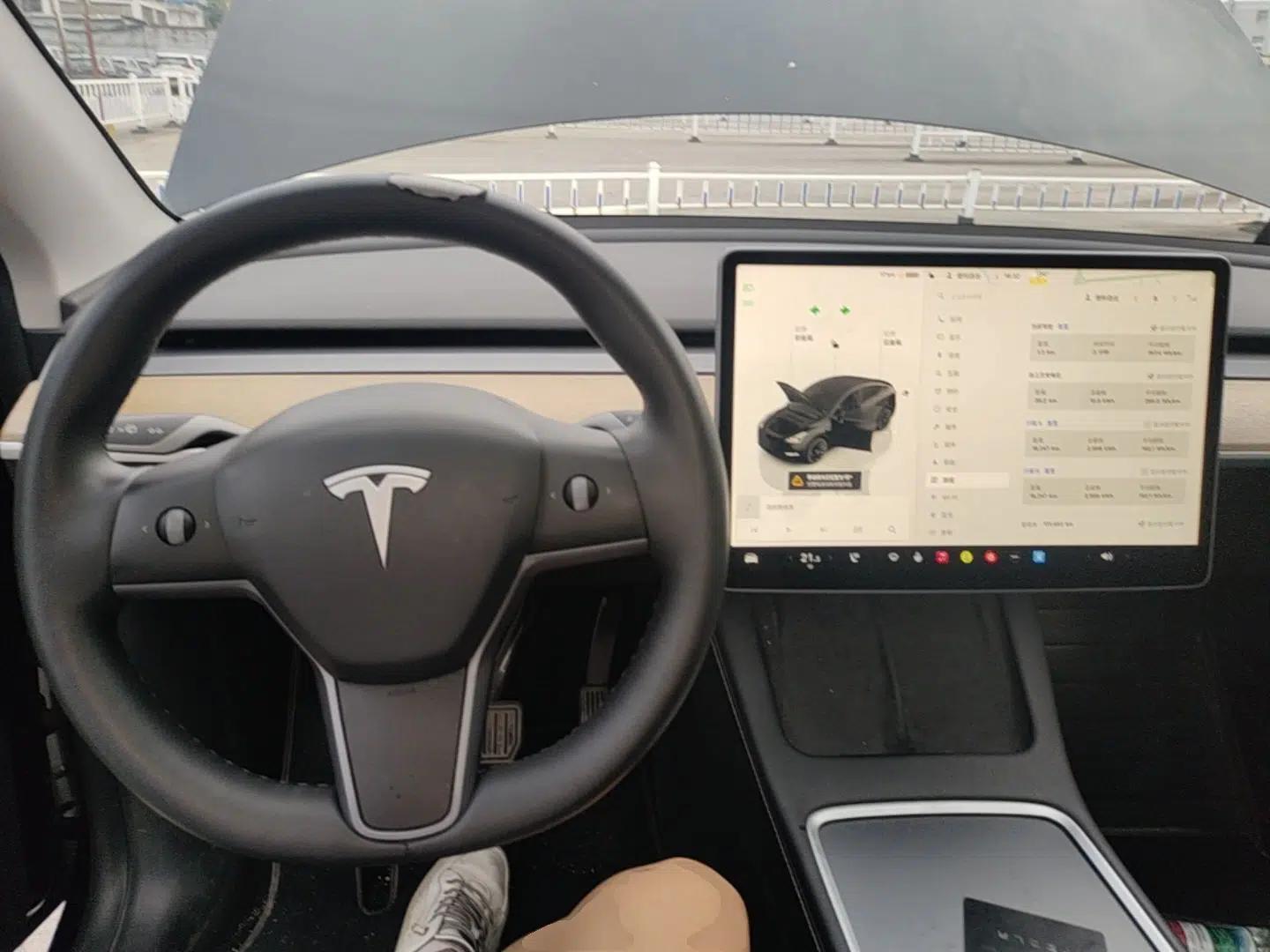 Tesla Model Y 2022 Revised Version Rear-Wheel Drive — миниатюра 12
