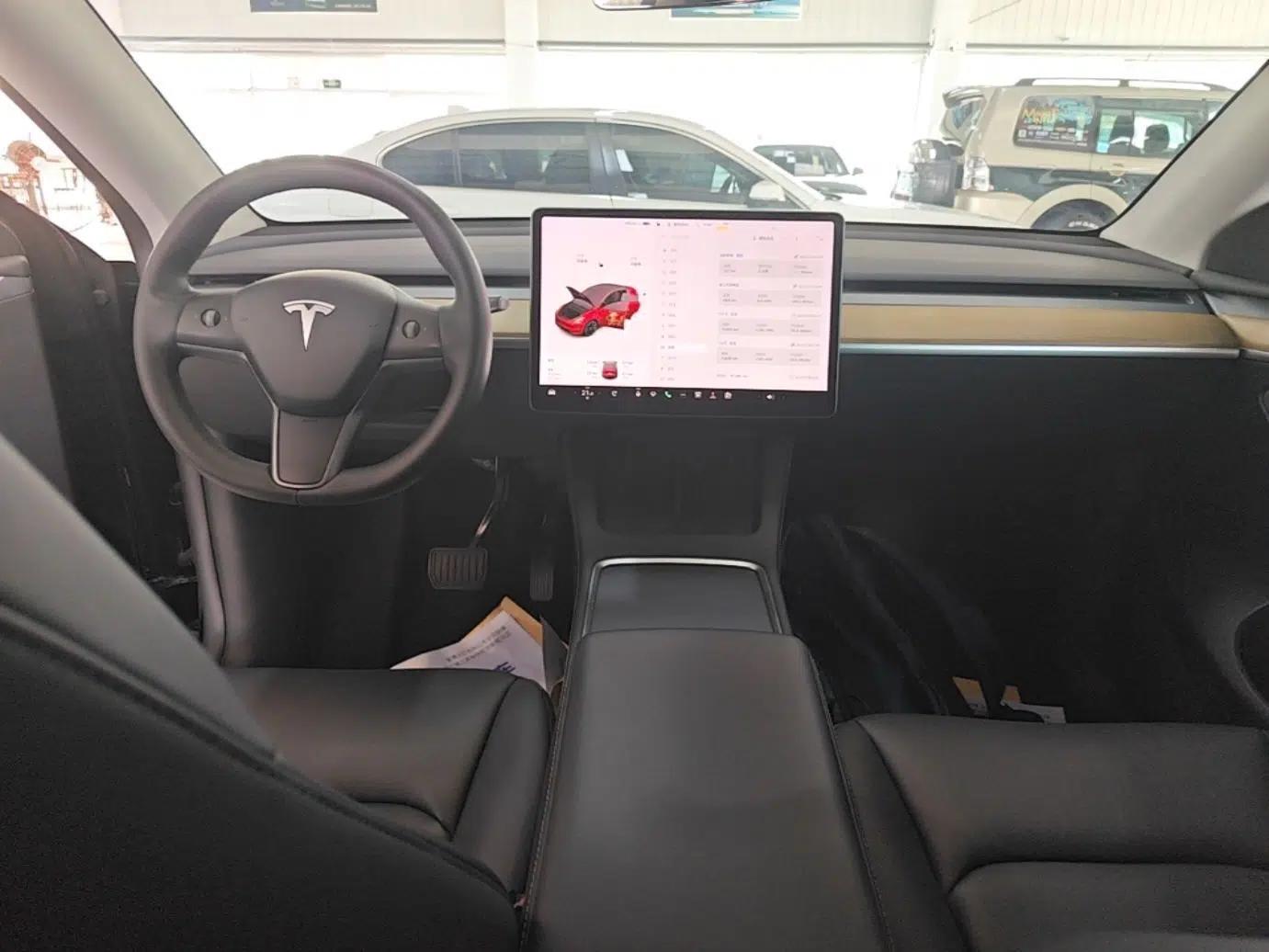 Tesla Model Y 2021 Standard Range Rear-Wheel Drive Version — миниатюра 12