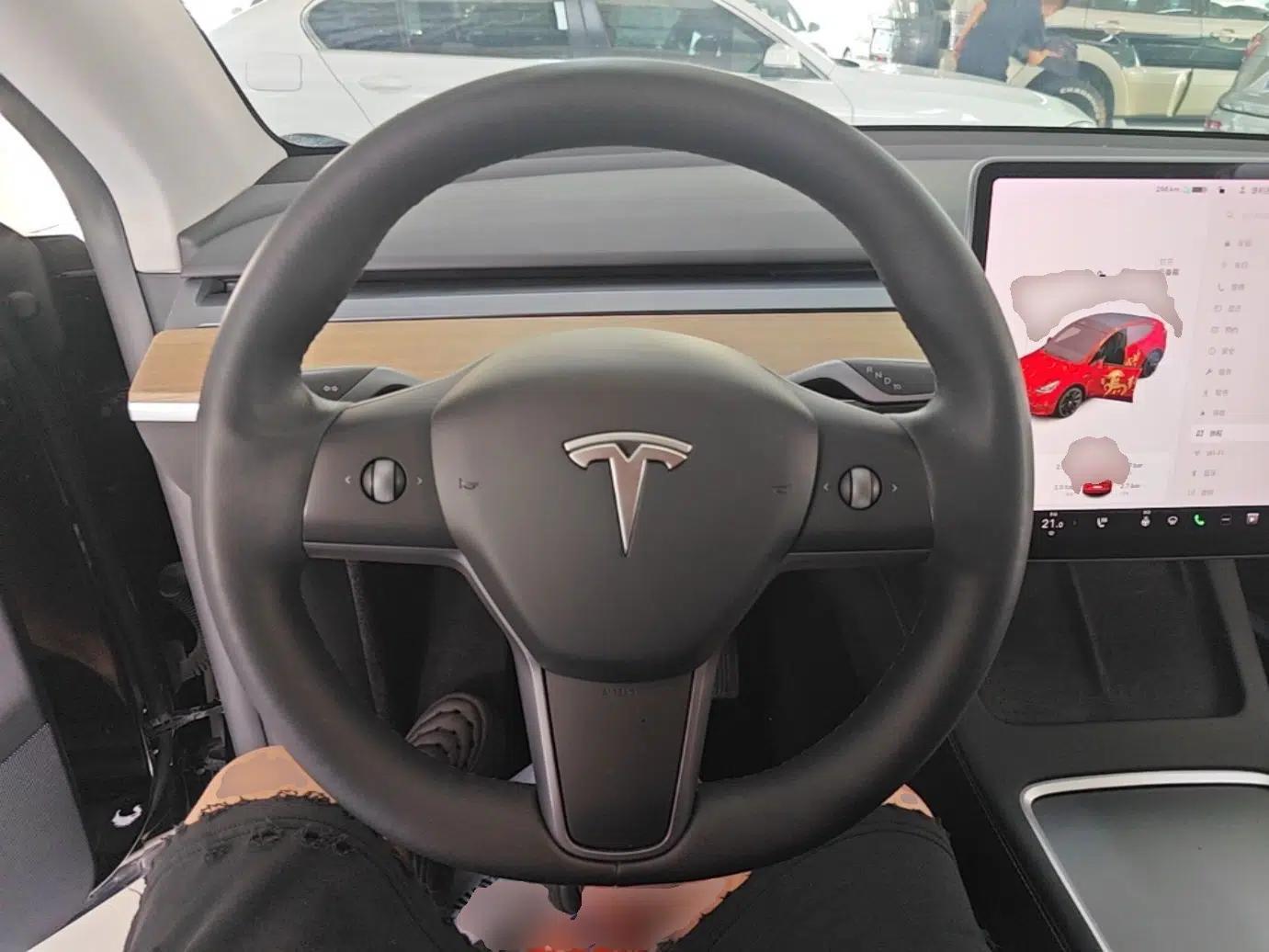 Tesla Model Y 2021 Standard Range Rear-Wheel Drive Version — миниатюра 13