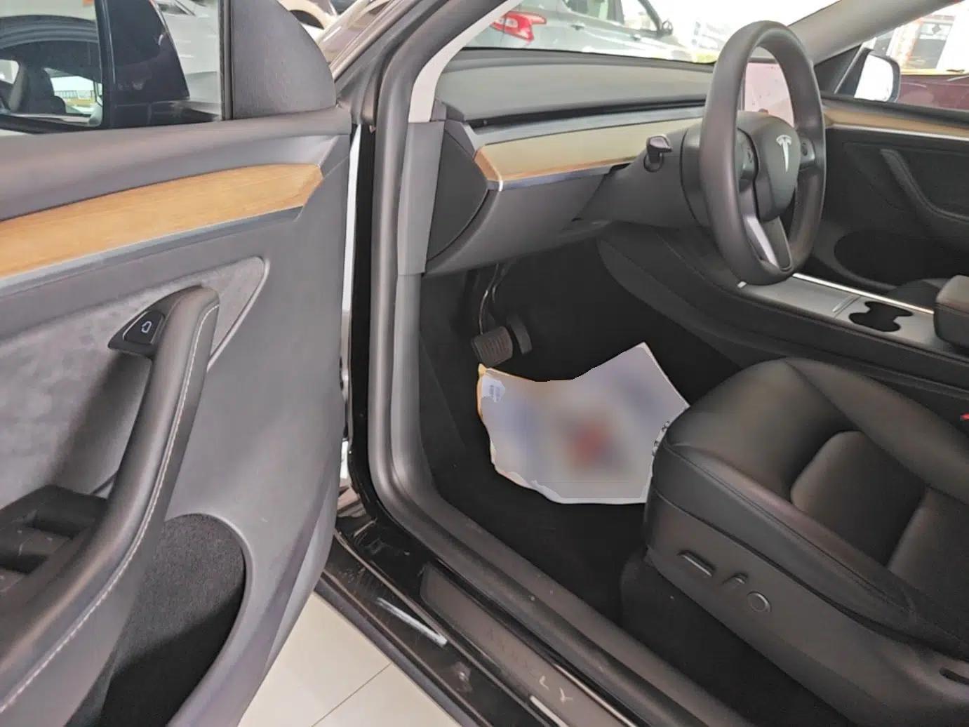 Tesla Model Y 2021 Standard Range Rear-Wheel Drive Version — миниатюра 18