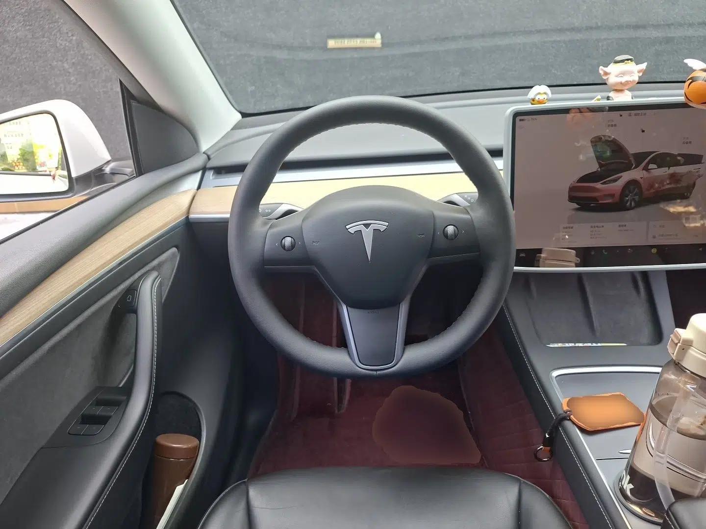 Tesla Model Y 2022 Revised Version Rear-Wheel Drive — миниатюра 10