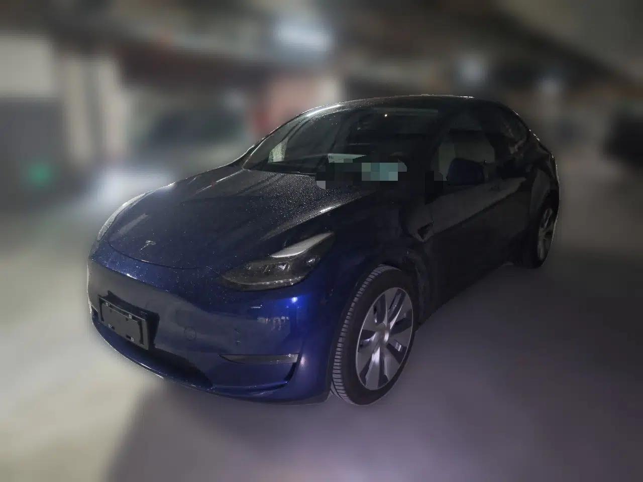 Tesla Model Y 2021 Long-Range All-Wheel-Drive Version 3D7 — миниатюра 1