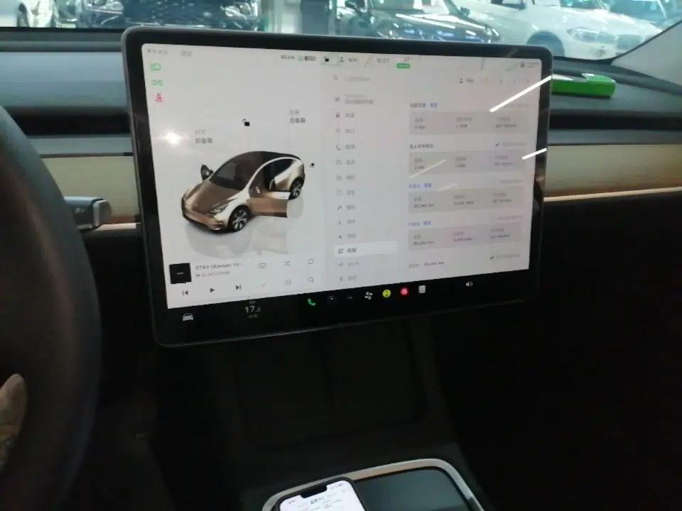Tesla Model Y 2022 Rear-Wheel-Drive Version — миниатюра 15
