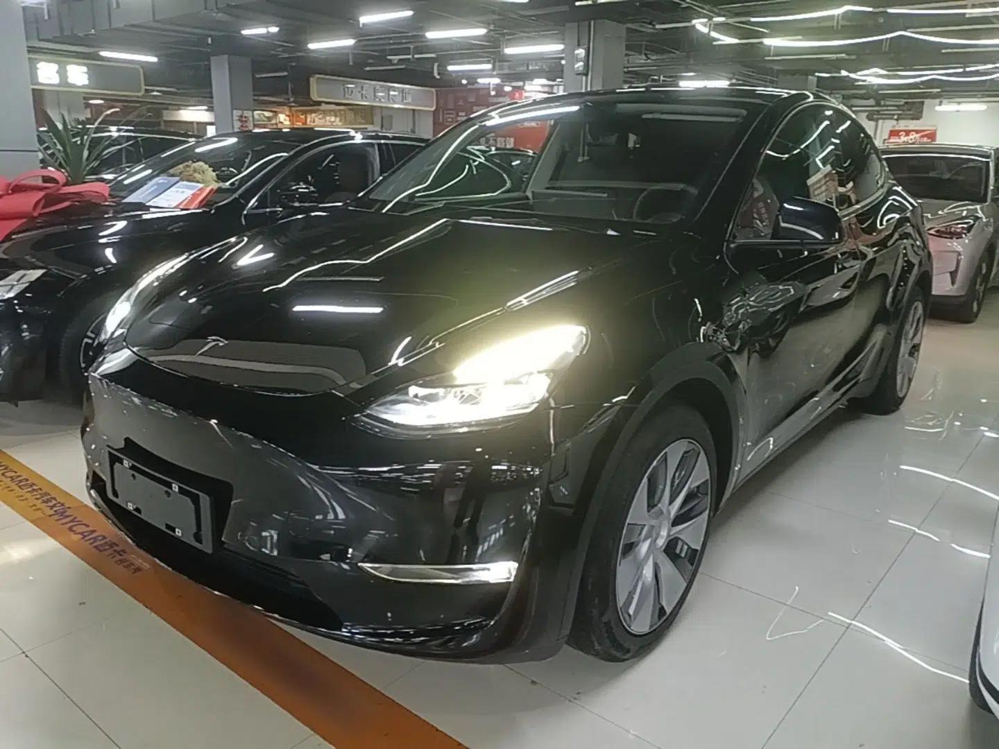 Tesla Model Y 2021 Standard Range Rear-Wheel Drive Version — миниатюра 1