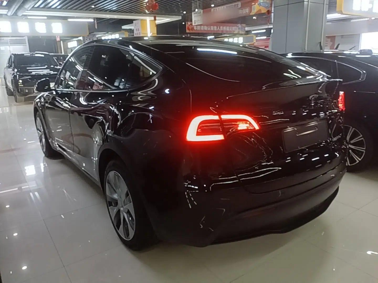 Tesla Model Y 2021 Standard Range Rear-Wheel Drive Version — миниатюра 13