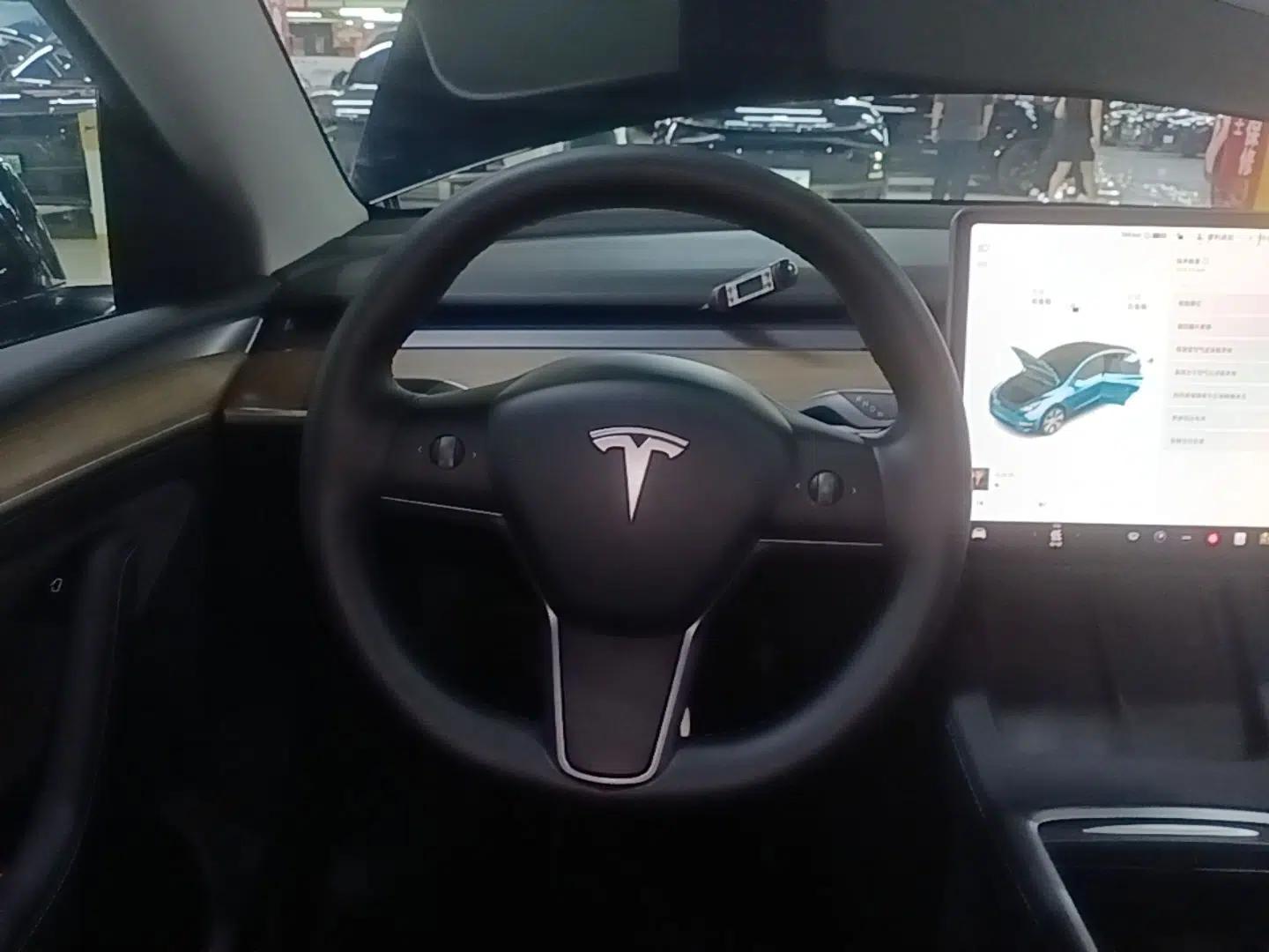Tesla Model Y 2021 Standard Range Rear-Wheel Drive Version — миниатюра 18