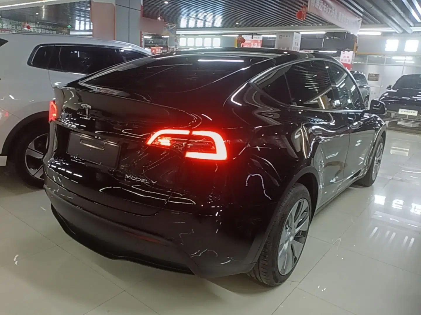 Tesla Model Y 2021 Standard Range Rear-Wheel Drive Version — миниатюра 6