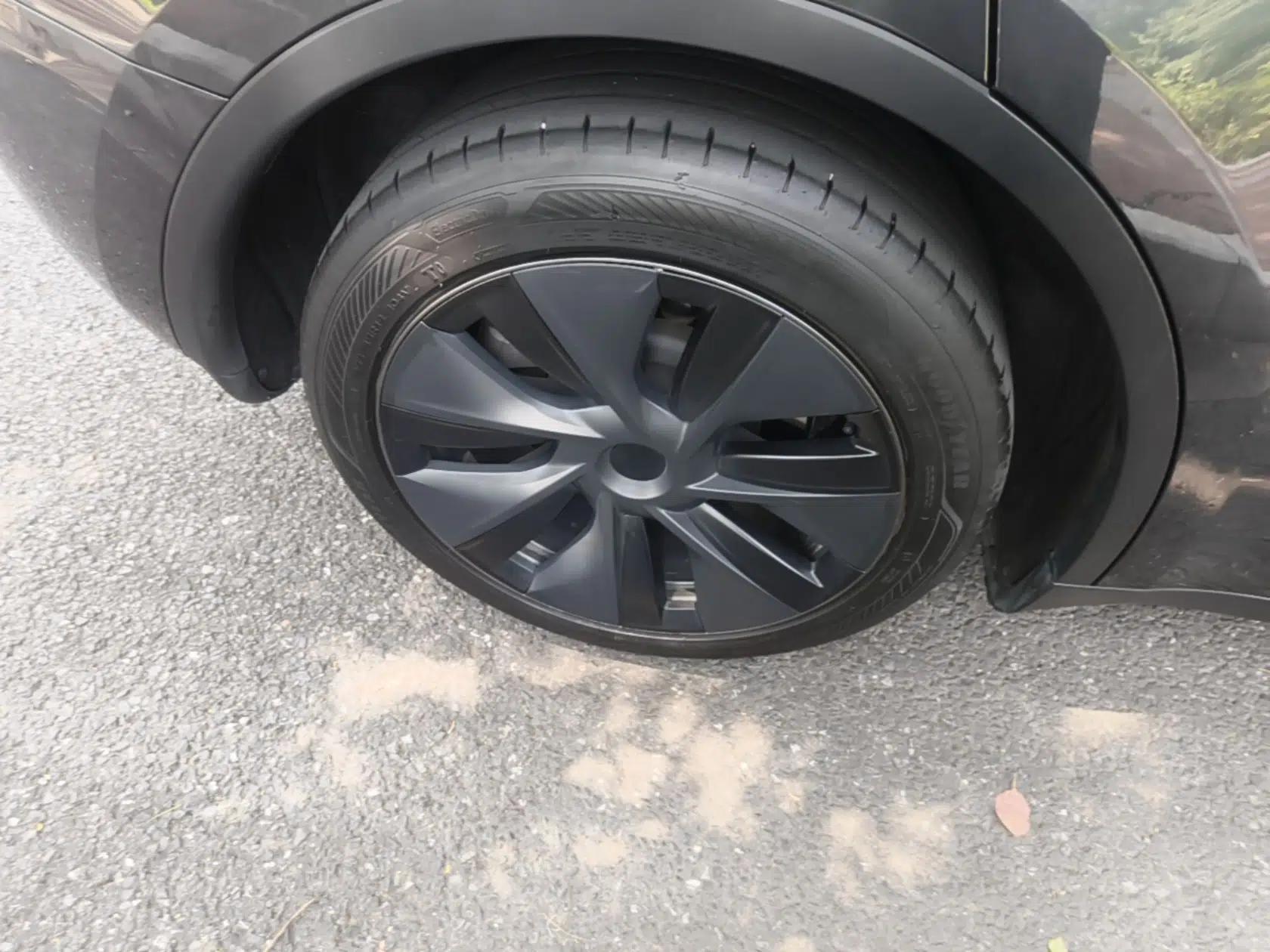 Tesla Model Y 2024 Rear-Wheel-Drive Version — миниатюра 11
