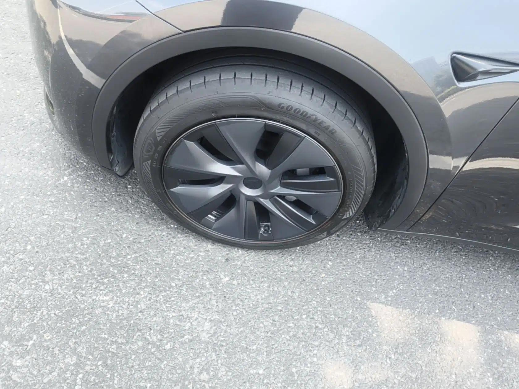 Tesla Model Y 2024 Rear-Wheel-Drive Version — миниатюра 10
